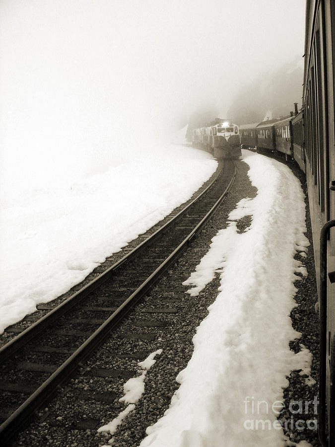 Trains Passing Photograph by Susan Lafleur