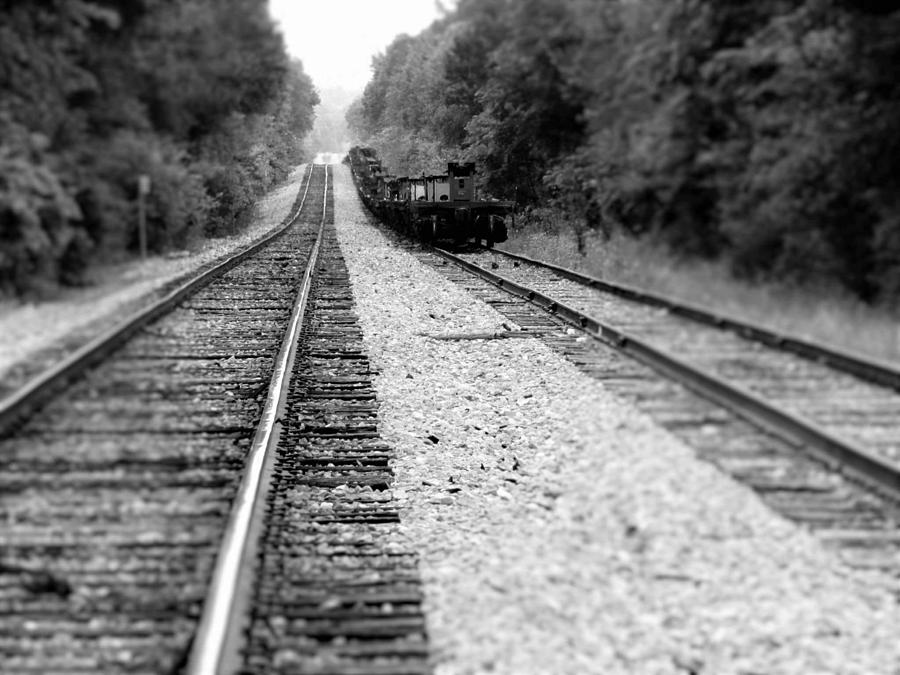 Train..train Photograph by Catherine Golden - Fine Art America