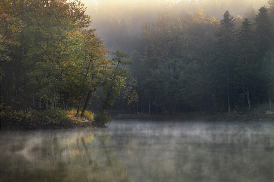 Trakoscan lake Photograph by Rene Pronk | Fine Art America