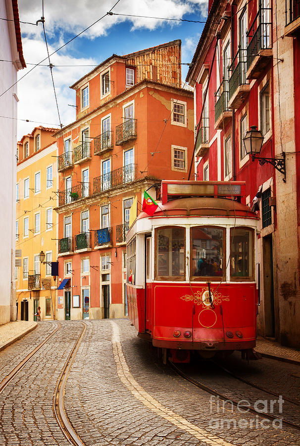 Tram of Lisbon Photograph by Anastasy Yarmolovich