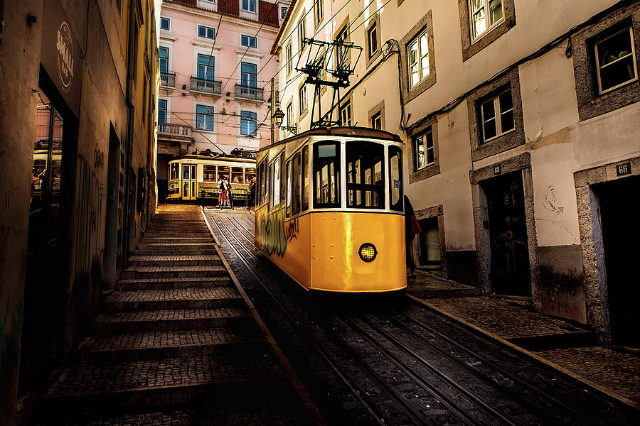 Vintage Photograph - Trams by Jorge Maia