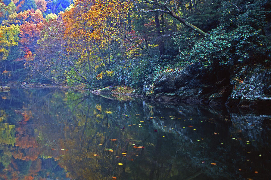 Tranquil Autumn Stream Photograph