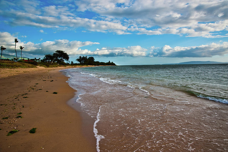 Tranquil Beach  Photograph by Harry Spitz
