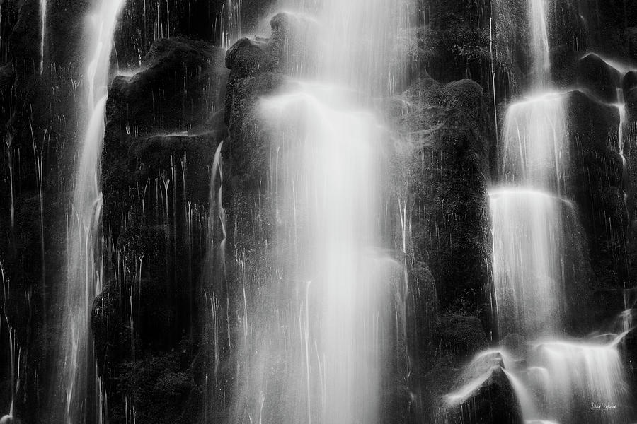 Tranquil Black and White 9 Photograph by Leland D Howard - Fine Art America