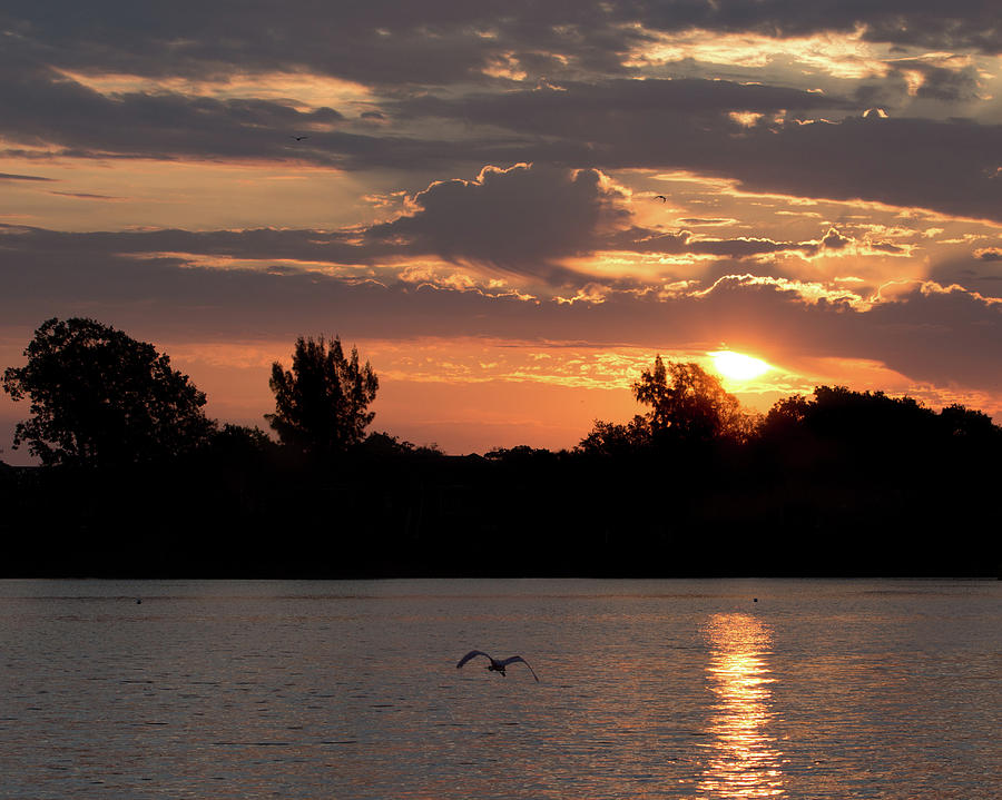 Tranquil Braden River Sunrise Photograph by Richard Goldman