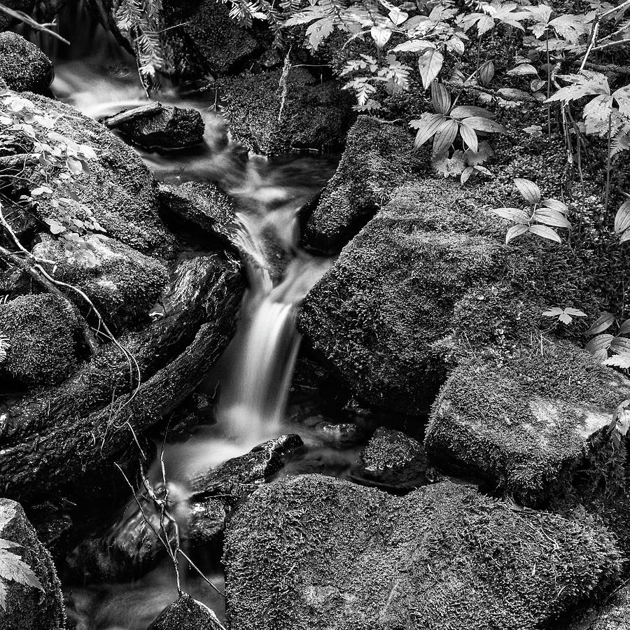 Tranquil Cascade - bw Photograph by Stephen Stookey