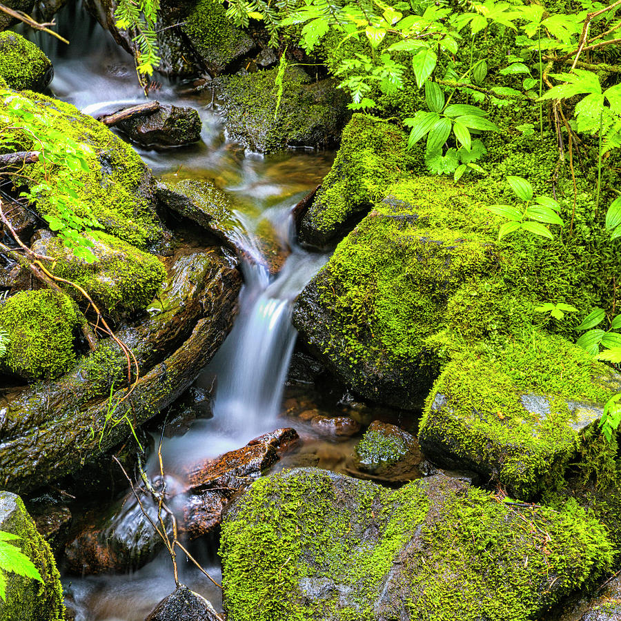 Tranquil Cascade Photograph by Stephen Stookey