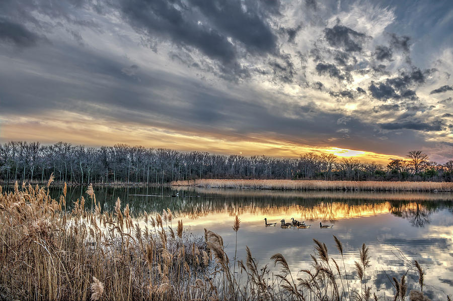 Tranquil Chesapeake Bay pond during Winter at sunset Photograph by Patrick Wolf