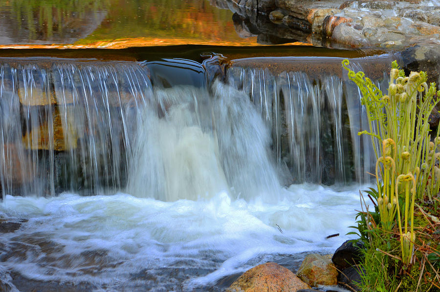 Tranquil Waterfall Photograph by Dianne Cowen Cape Cod Photography