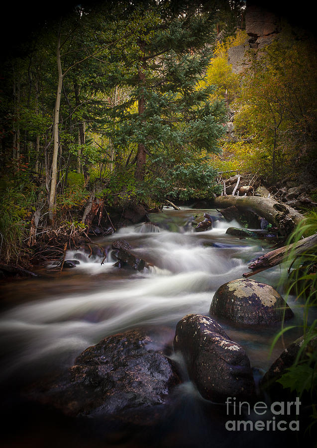 Tranquil Flow Photograph by Steven Reed