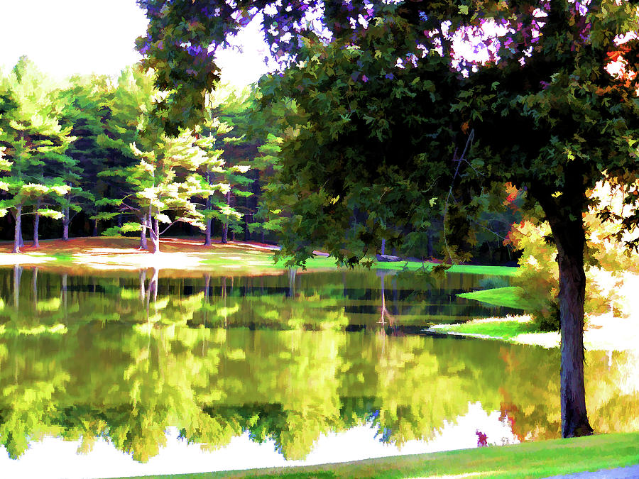 Tranquil landscape at a lake 1 Digital Art by Jeelan Clark