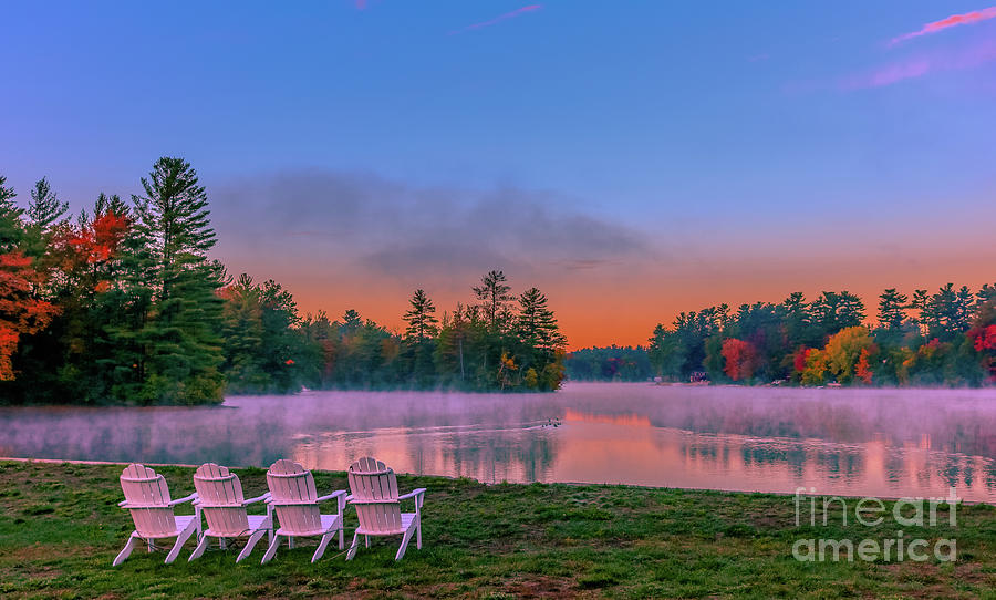 Tranquil morning at the pond Photograph by Claudia M Photography