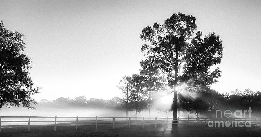 Tranquil Morning Fog Photograph by Dale Powell