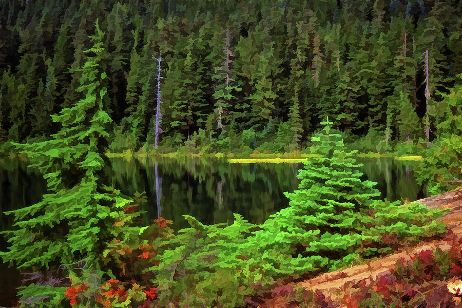Tranquil Mountain Tarn by Richard Farrington Tranquil Mountain Tarn by Richard Farrington