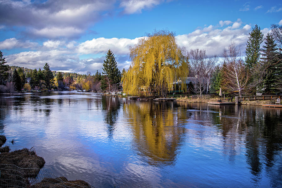 Tranquil Reflection on the Deschutes Photograph by Lynn Bauer