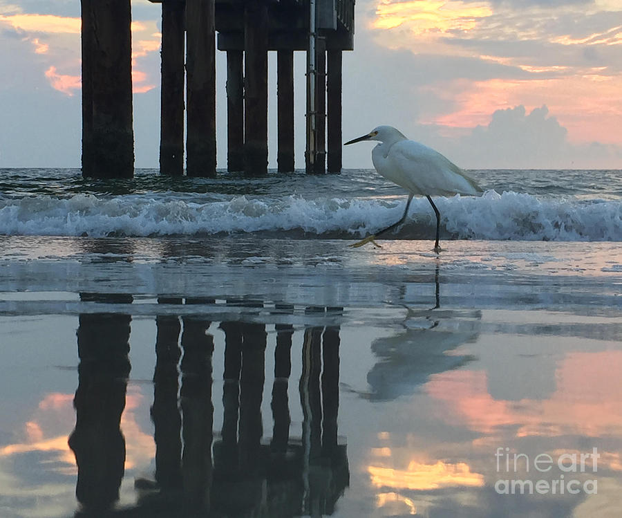 St Augustine Photograph - Tranquil Reflections by LeeAnn Kendall