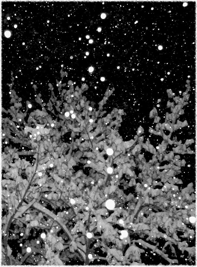 Black And White Digital Art - Tranquil Snowfall by Will Borden