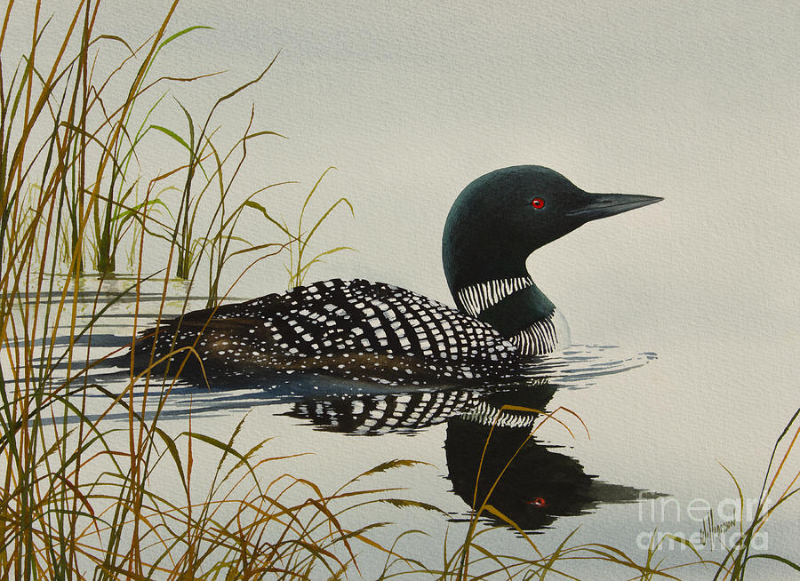Loon Painting - Tranquil Stillness of Nature by James Williamson