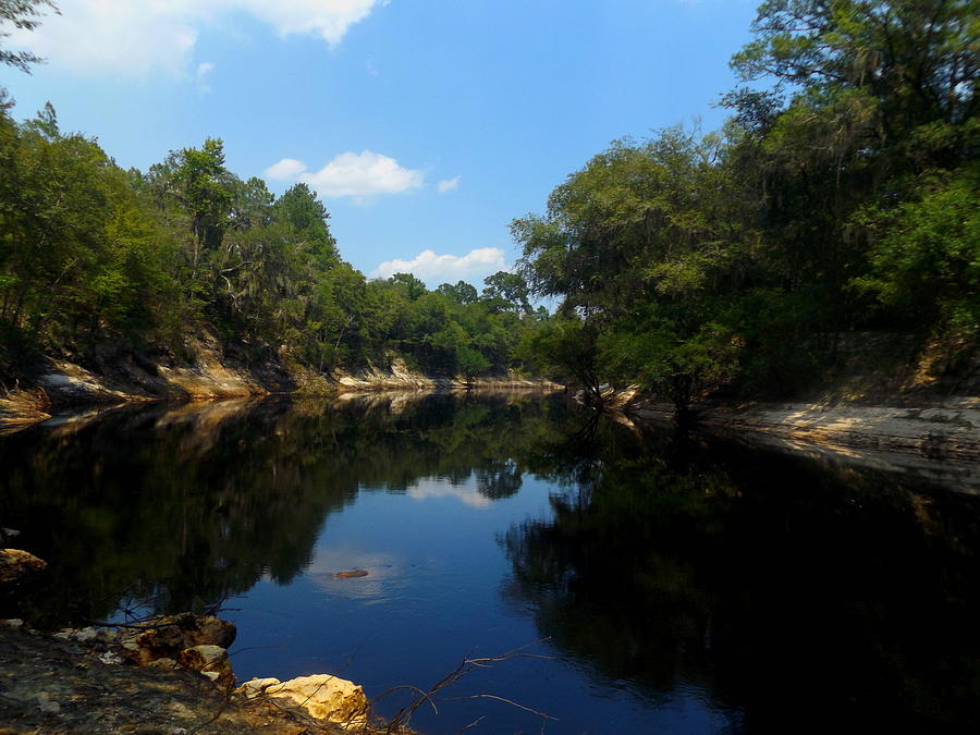 White Springs Suwannee Photograph by Julie Pappas