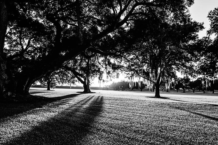 Tranquility Amongst the Oaks Photograph by Scott Pellegrin