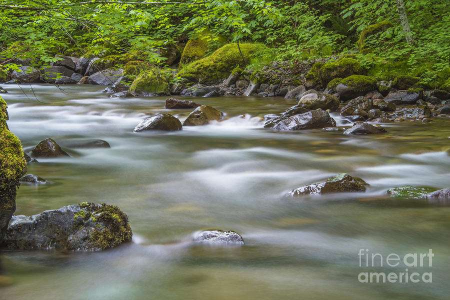 Tranquility Photograph by Bob Mead - Fine Art America