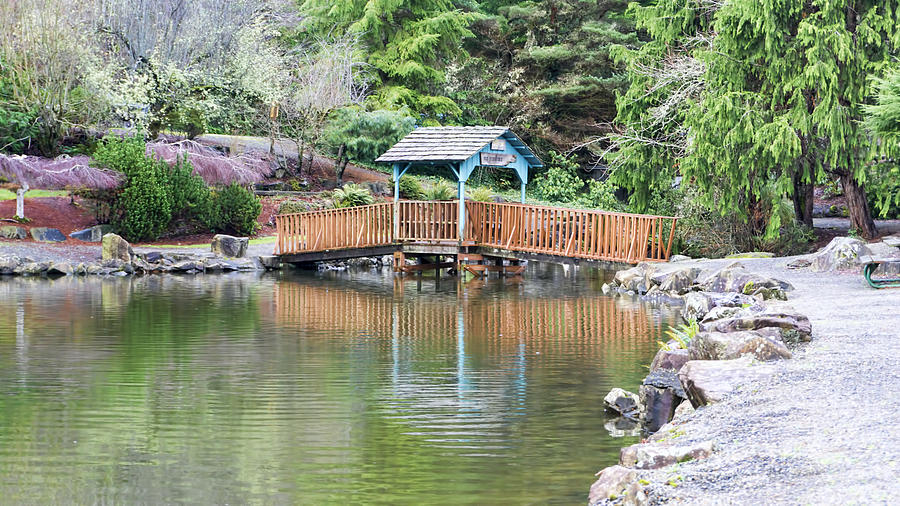 Tranquility bridge Photograph by Cathy Anderson