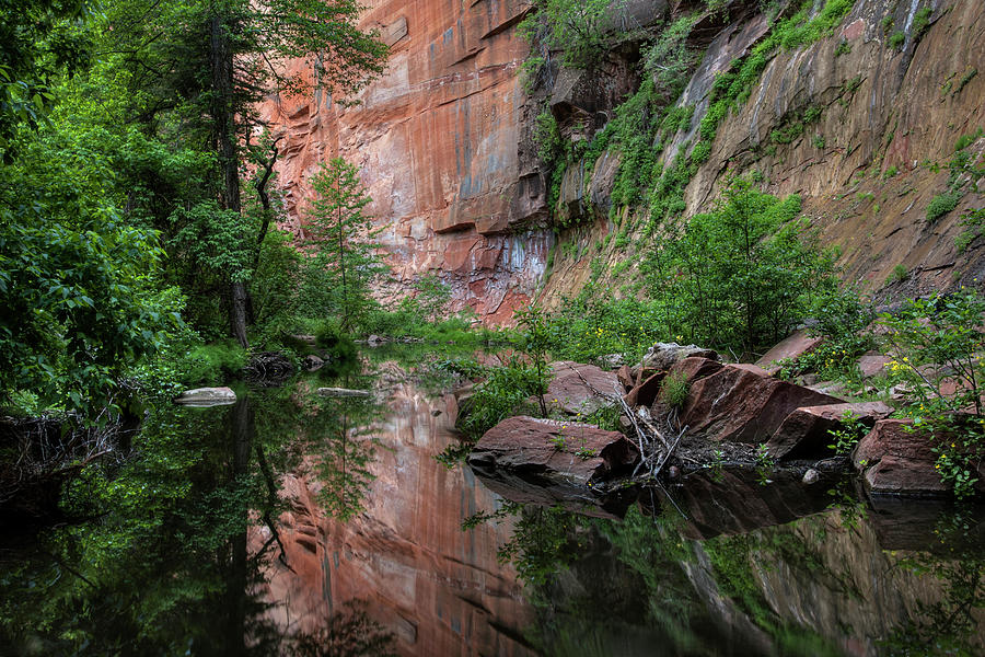Canyon Tranquility Photograph by Sue Cullumber