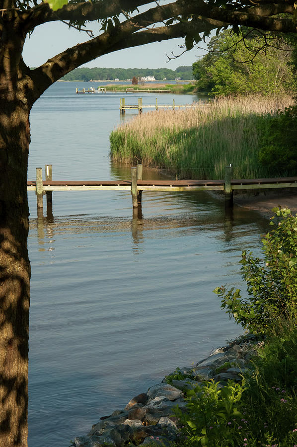 Tranquility on the Choptank Photograph by Valerie Brown