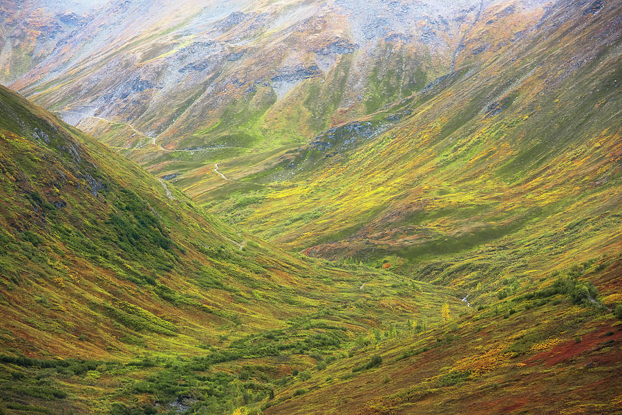 Transcendental Tundra Photograph by Gary Randall