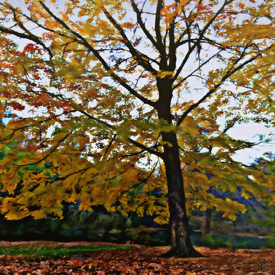 Nature Digital Art - Transformational Tree of Autumn by Pamela Storch