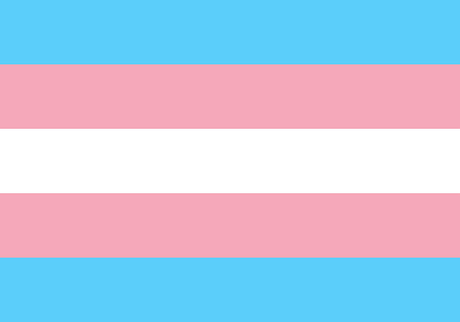 Image result for transgender flag