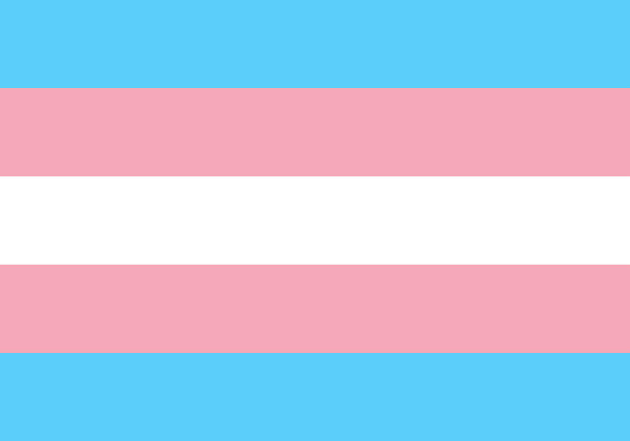 transgender-flag-paul-milam.jpg