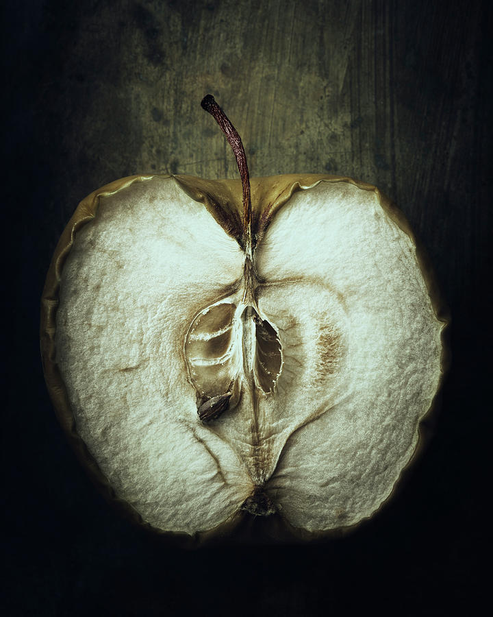 Apple Photograph - Transient by Amy Weiss