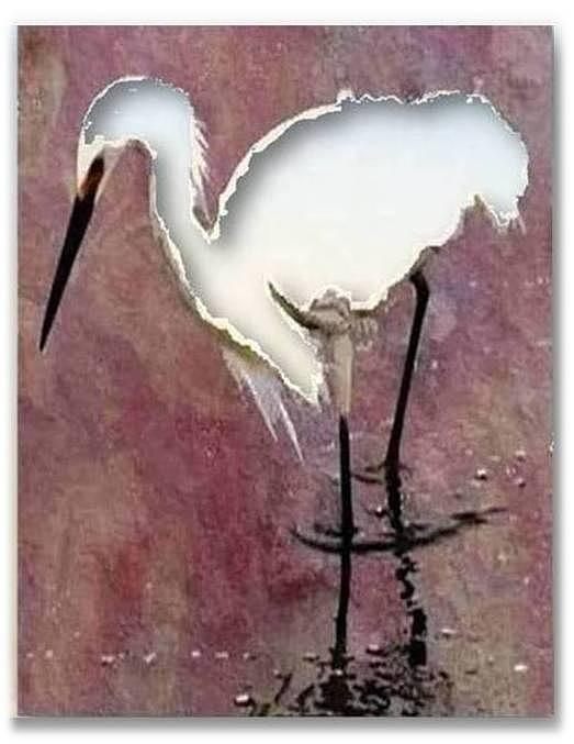 Translucence Mixed Media by Brenda Garacci Translucence Mixed Media by Brenda Garacci