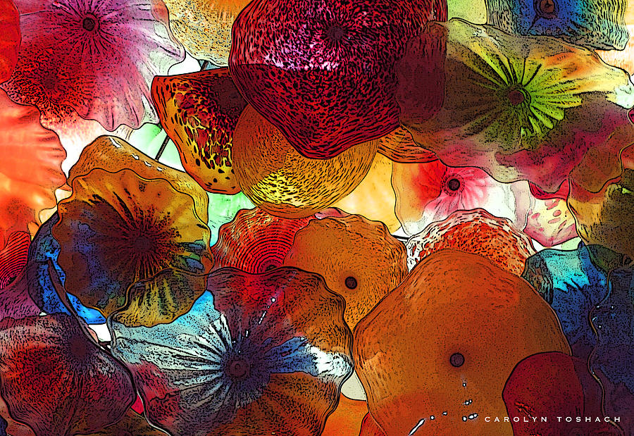 Translucence in Bloom Photograph by Carolyn Toshach - Fine Art America