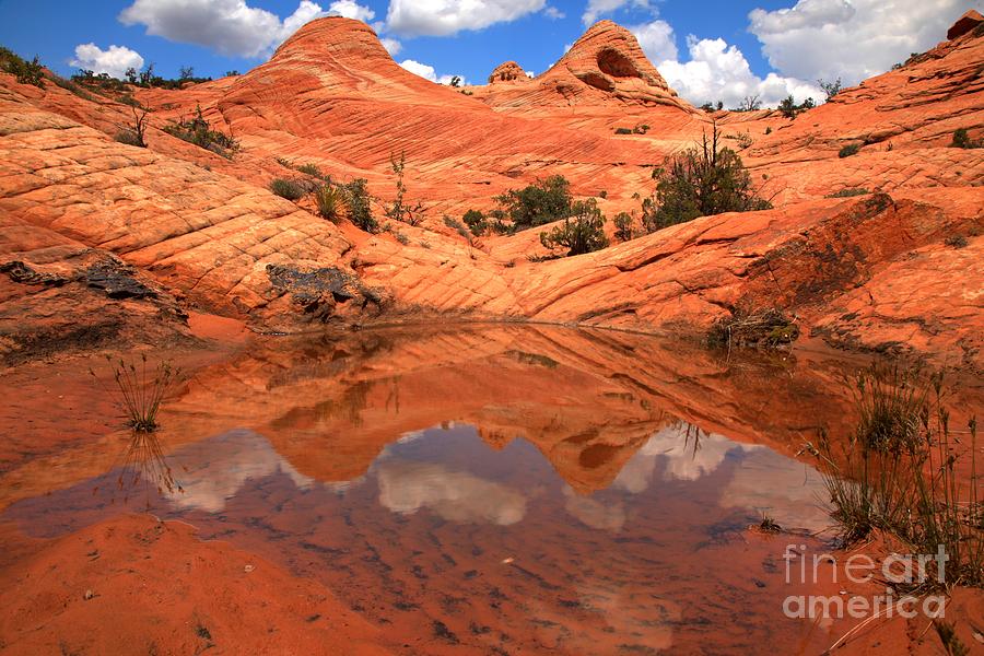 Translucent Canyon Reflections Photograph by Adam Jewell