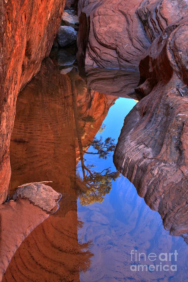 Translucent Reflections At Zion Photograph by Adam Jewell