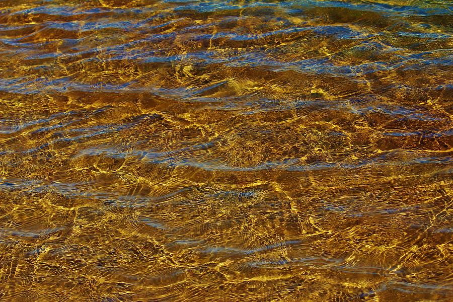 Transparent Water Bottom Photograph by Cynthia Guinn
