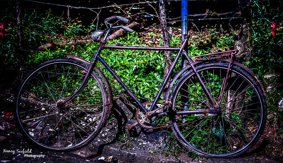 Transportation Photograph By Nancy Scofield Fine Art America