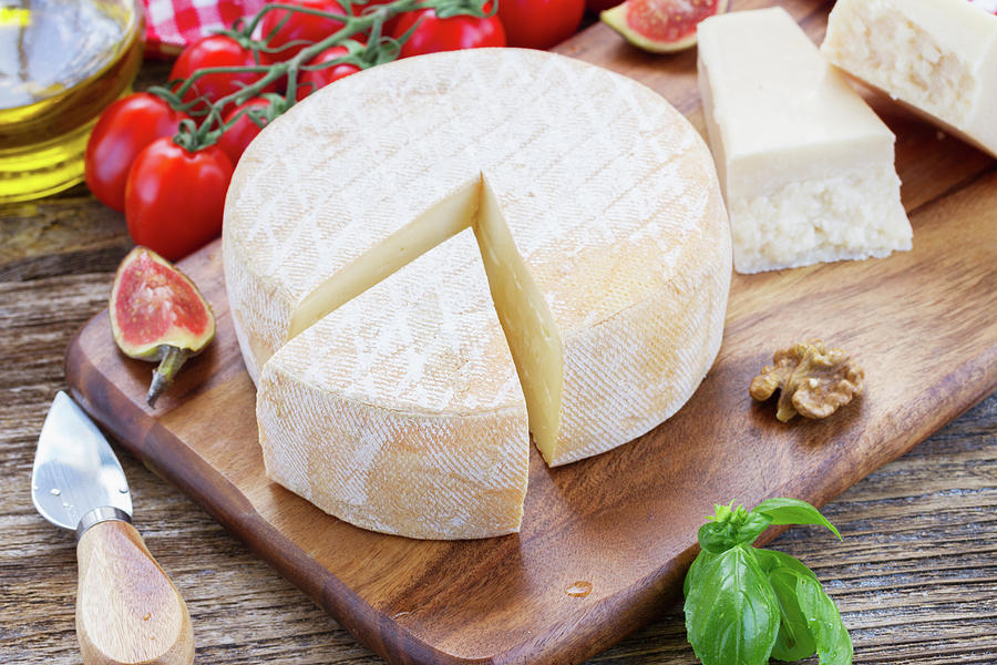 Trappe Cheese Photograph by Anastasy Yarmolovich