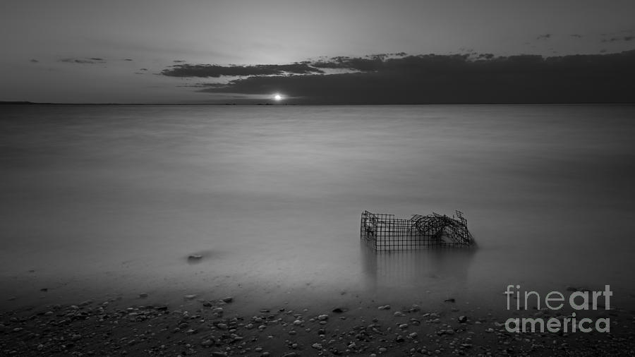 Sandy Hook Photograph - Trapped Bw by Michael Ver Sprill Sandy Hook Photograph - Trapped Bw by Michael Ver Sprill