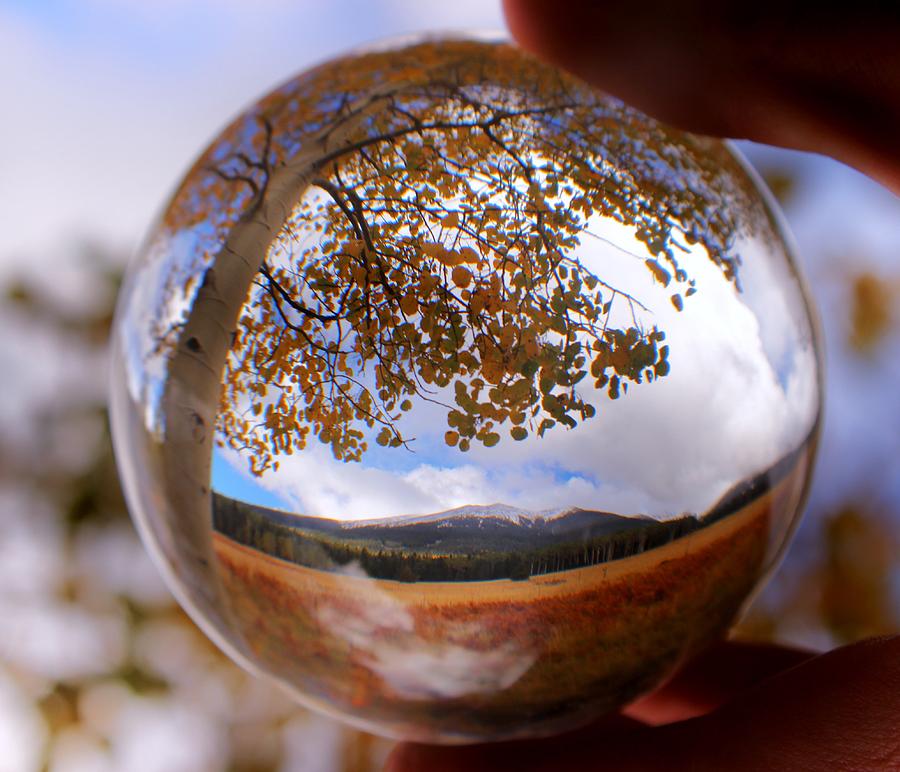 Trapped In The Orb Photograph By Jaimie Harder - Fine Art America