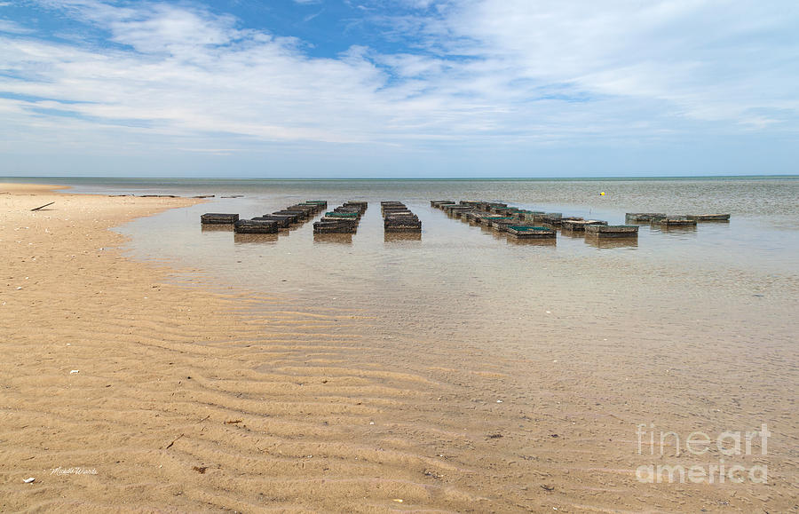 Traps at Low Tide Photograph by Michelle Constantine
