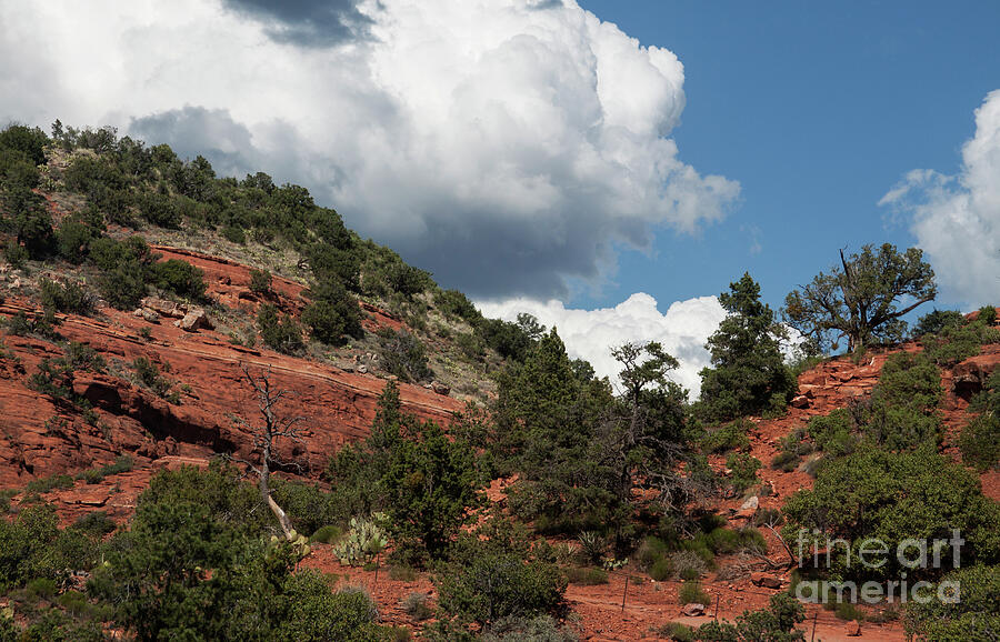 Travel in Sedona Photograph by Ruth Jolly