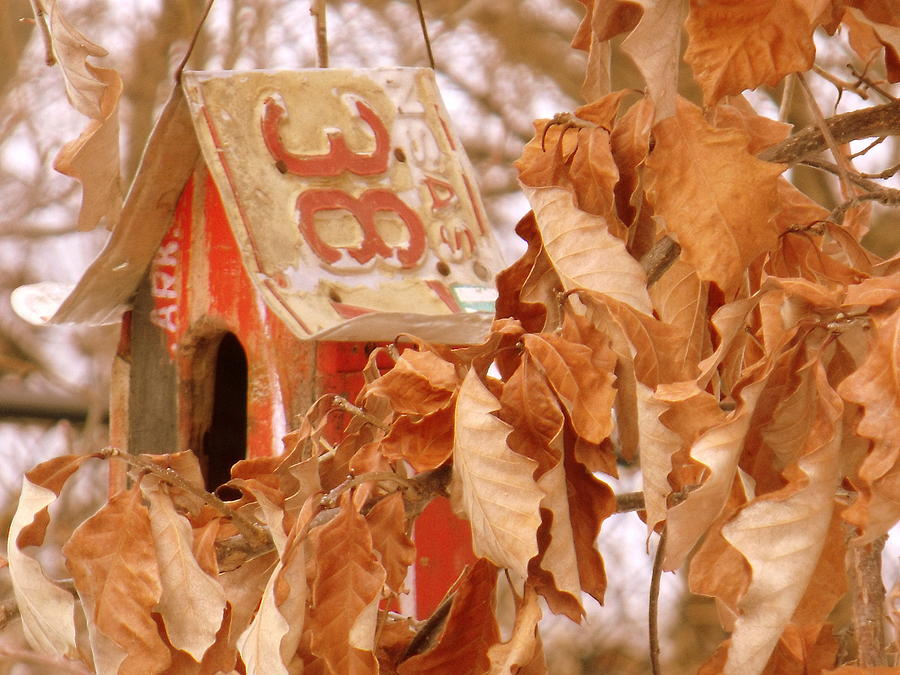 Traveling Bird House Photograph by Edward Smith