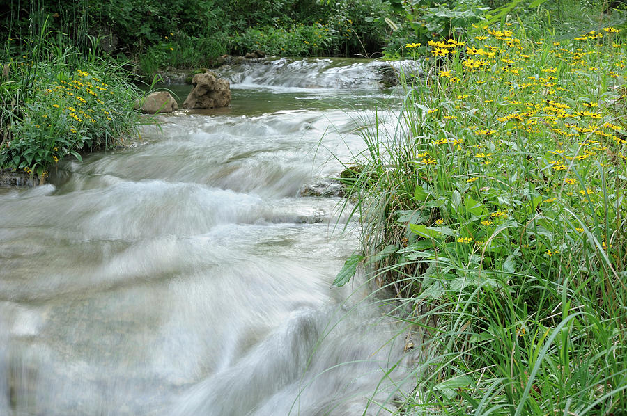 Travertine Creek in Bloom Photograph by Iris Greenwell