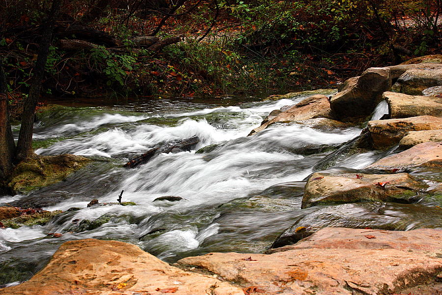 Travertine Creek in Fall Photograph by Sheila Brown