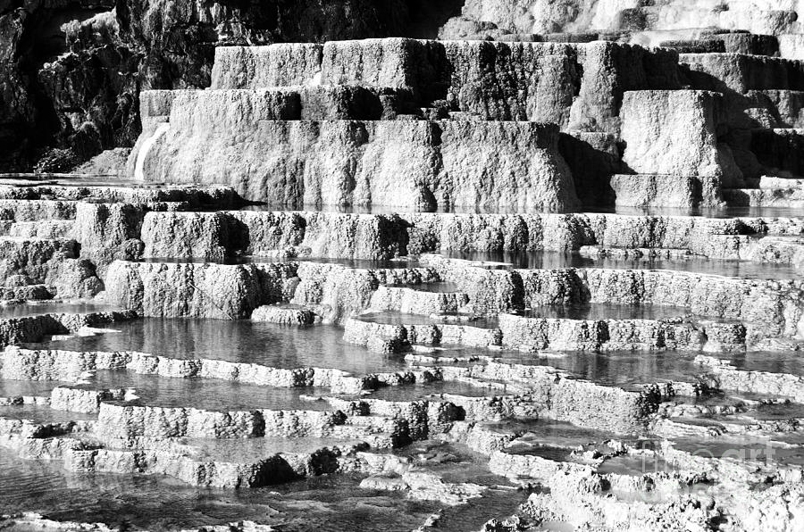 Travertine Hot Spring Terraces Mammoth Hot Springs Yellowstone NP Wyoming Black and White  Photograph by Shawn OBrien