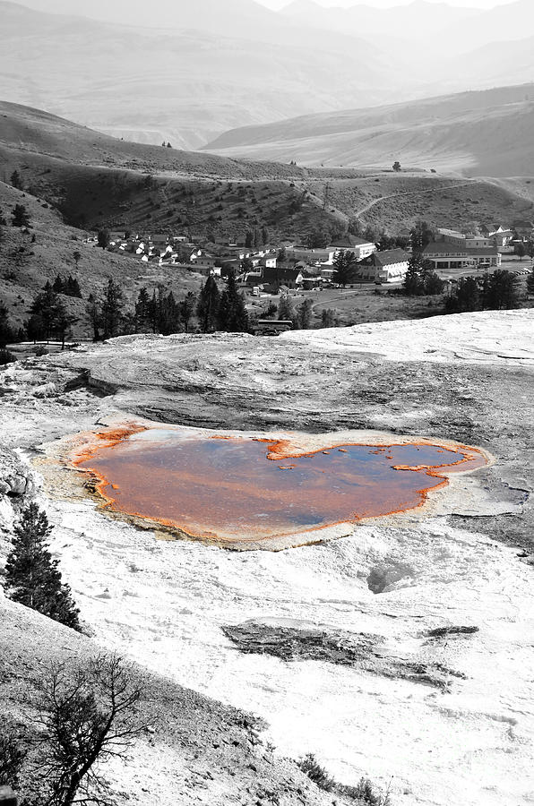 Travertine Terrace View of Mammoth Hot Springs Village in Yellowstone National Park Color Splash Photograph by Shawn OBrien