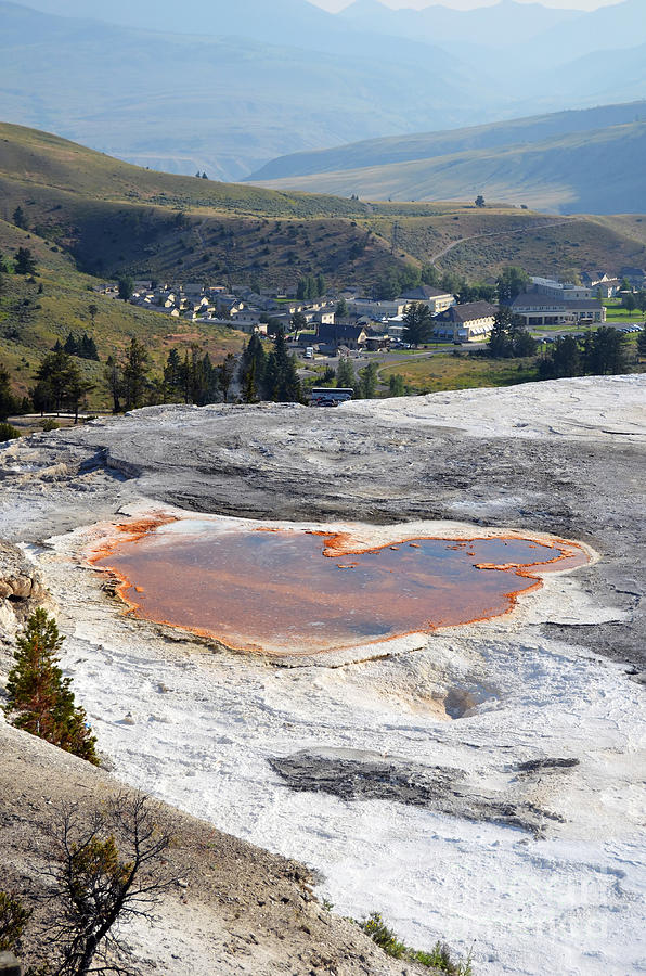 Travertine Terrace View of Mammoth Hot Springs Village in Yellowstone National Park Photograph by Shawn OBrien